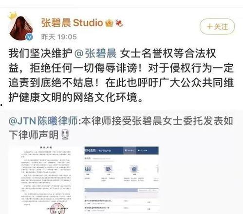 爆料吃瓜道歉图片,公众人物致歉，网络舆论的反思与启示